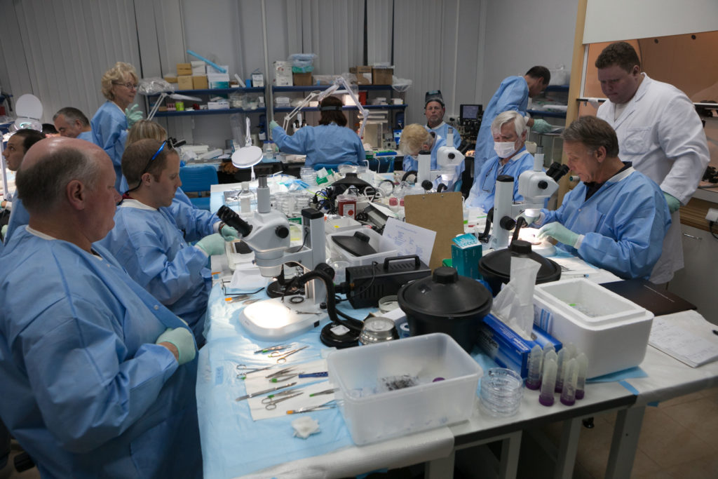 KU Med Center researcher among scientists studying mice